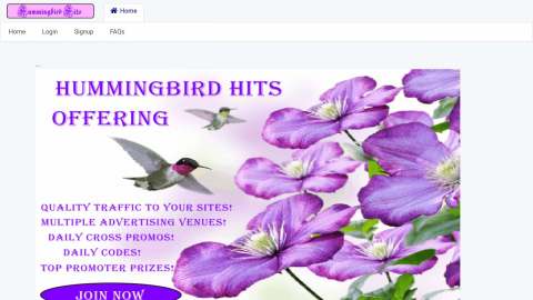 Screenshot preview of Hummingbird Hits